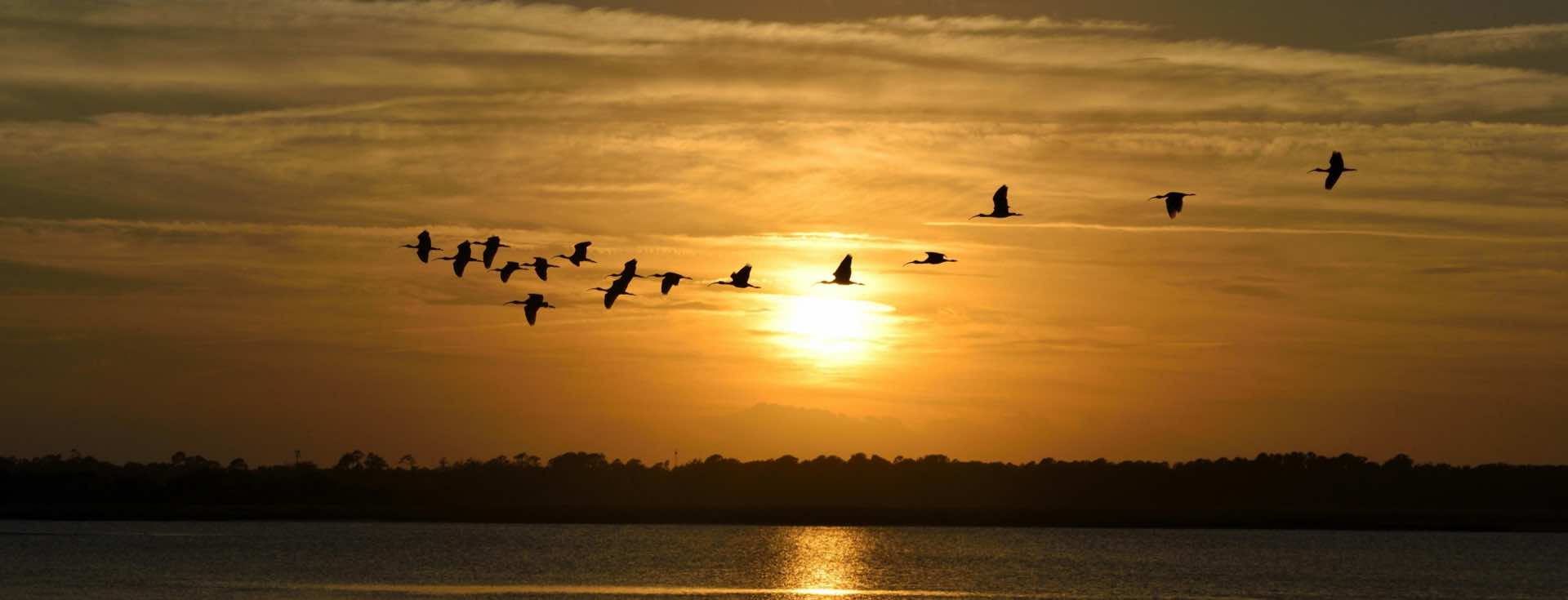Mastering Website Migrations: A Comprehensive Guide